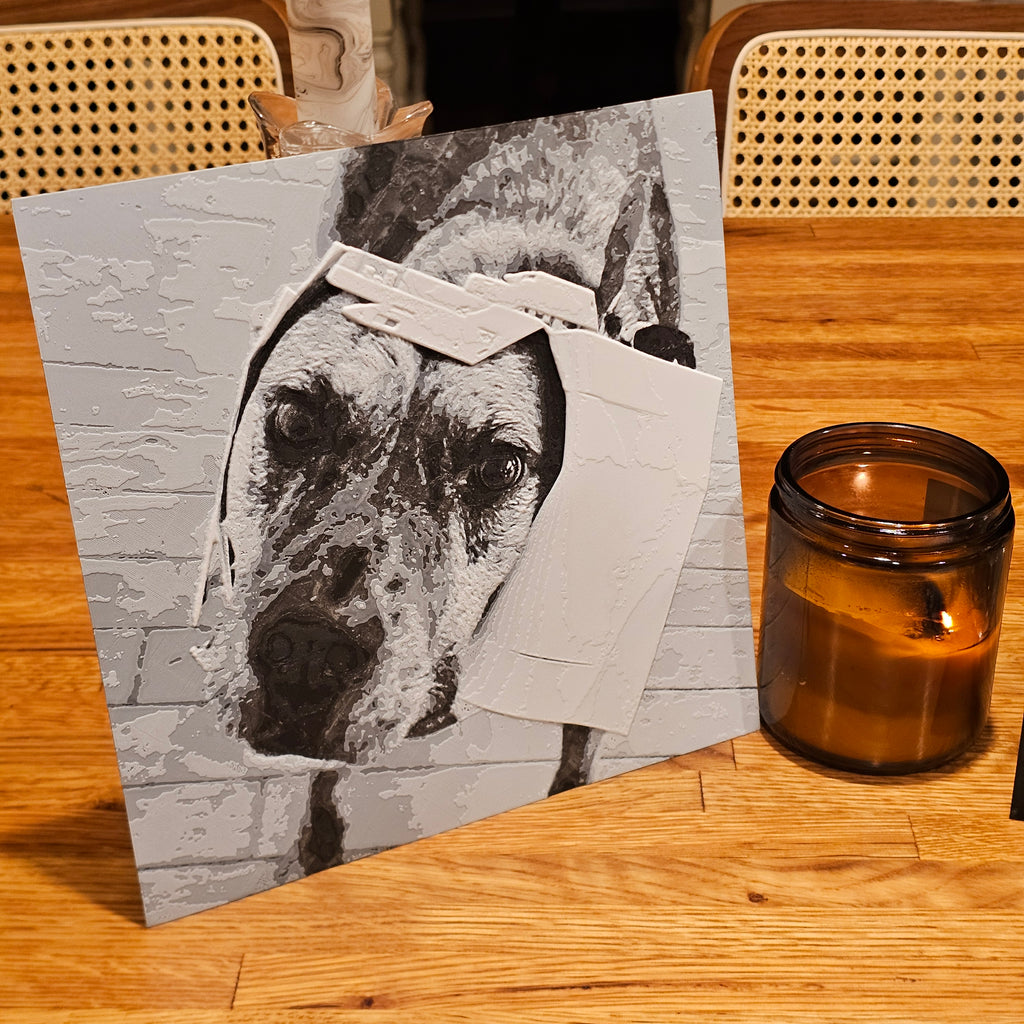 Black and White Photo w/ Stand Combo