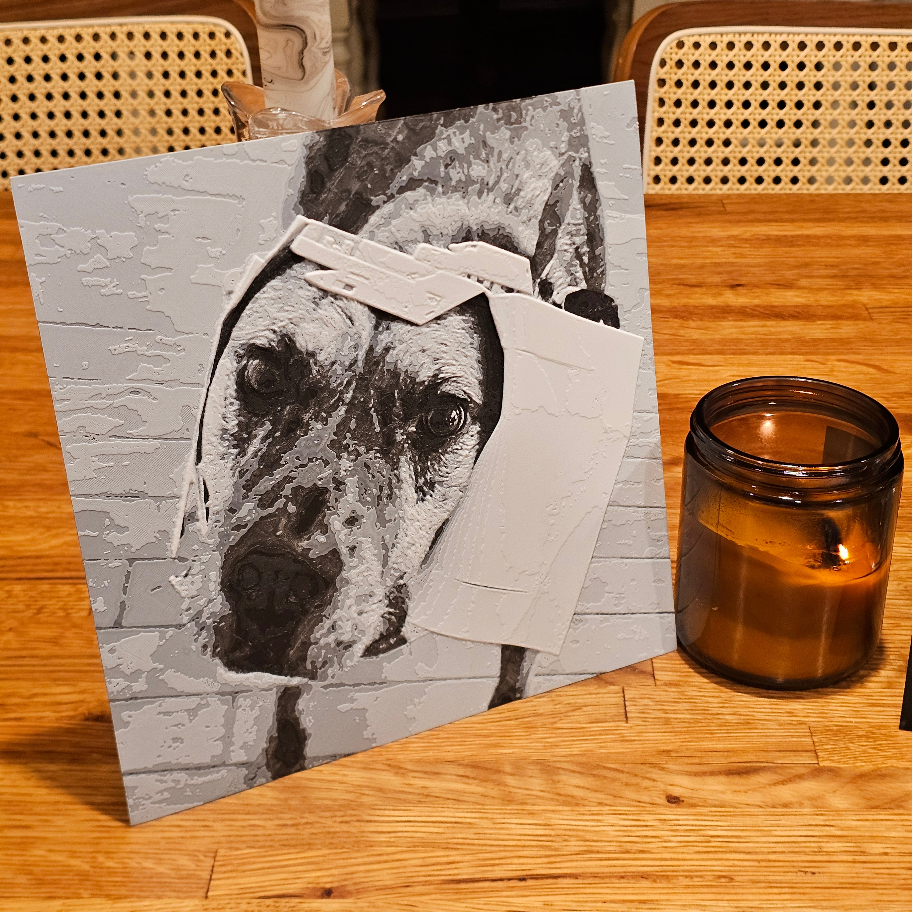 Black and White Photo