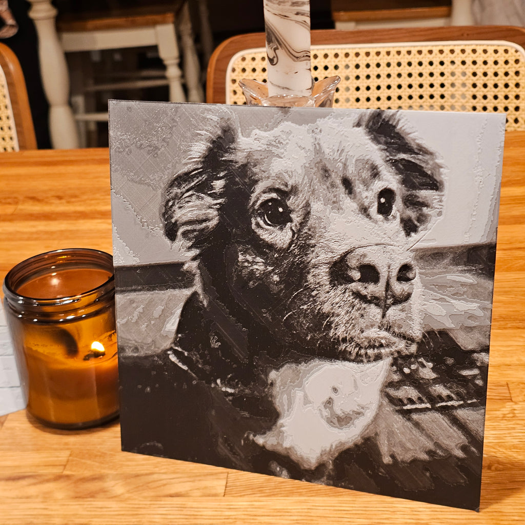 Black and White Photo