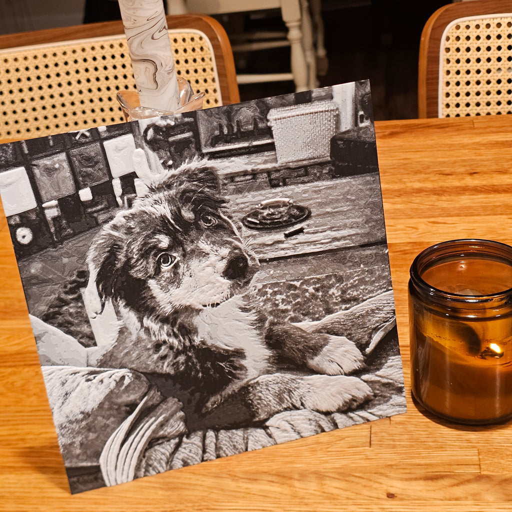 Black and White Photo w/ Stand Combo