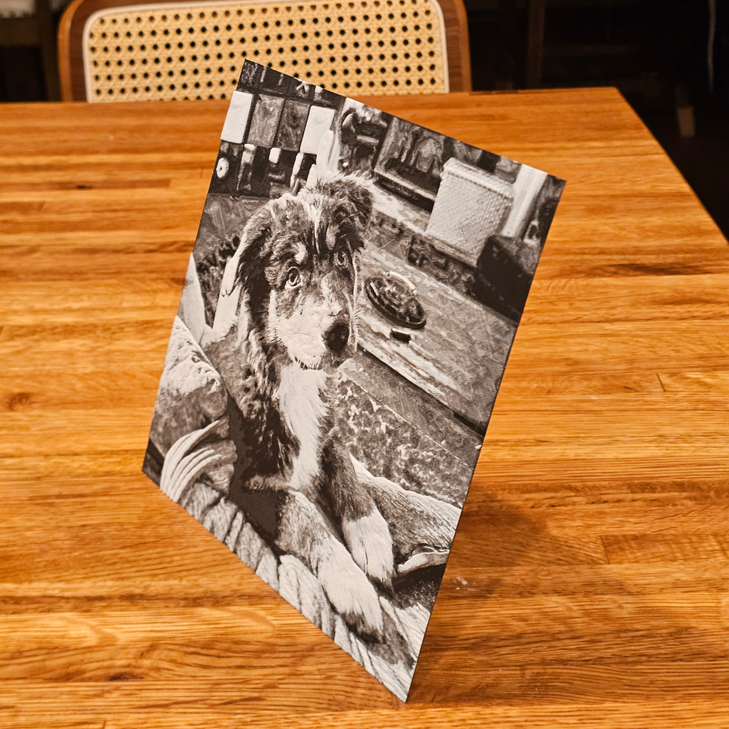 Adjustable Picture Stand